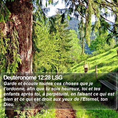 Deutéronome 12:28 LSG Bible Verse Image