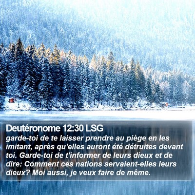 Deutéronome 12:30 LSG Bible Verse Image