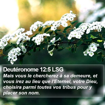 Deutéronome 12:5 LSG Bible Verse Image