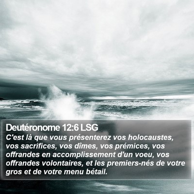 Deutéronome 12:6 LSG Bible Verse Image