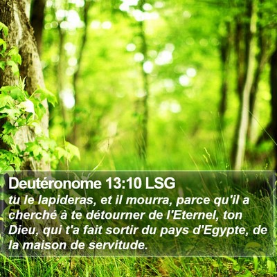 Deutéronome 13:10 LSG Bible Verse Image