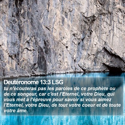 Deutéronome 13:3 LSG Bible Verse Image