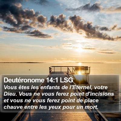 Deutéronome 14:1 LSG Bible Verse Image