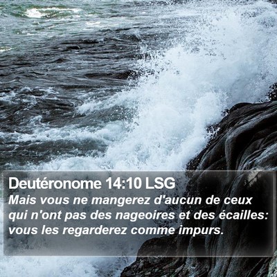 Deutéronome 14:10 LSG Bible Verse Image