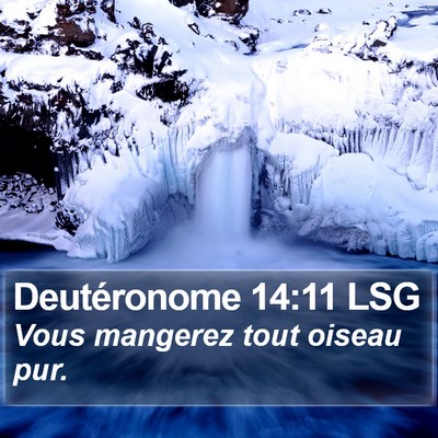 Deutéronome 14:11 LSG Bible Verse Image