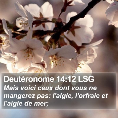 Deutéronome 14:12 LSG Bible Verse Image
