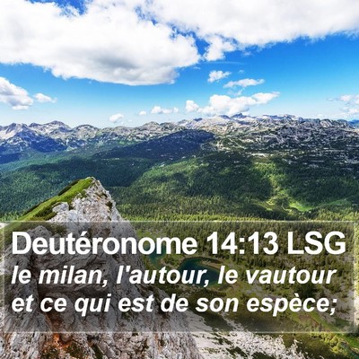 Deutéronome 14:13 LSG Bible Verse Image