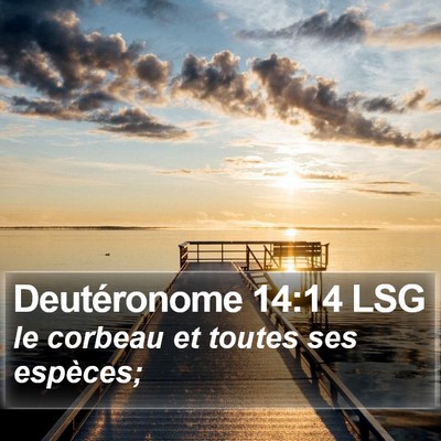 Deutéronome 14:14 LSG Bible Verse Image