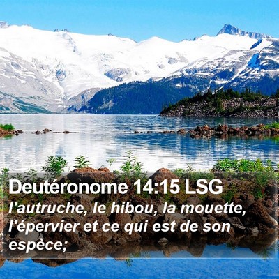 Deutéronome 14:15 LSG Bible Verse Image