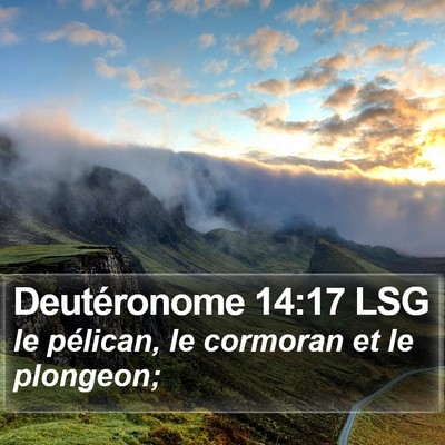 Deutéronome 14:17 LSG Bible Verse Image