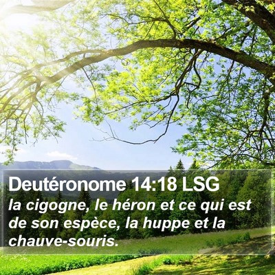 Deutéronome 14:18 LSG Bible Verse Image