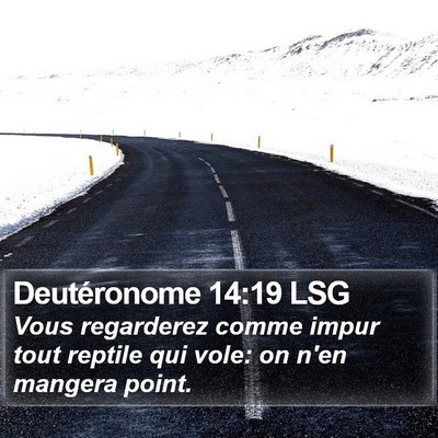 Deutéronome 14:19 LSG Bible Verse Image