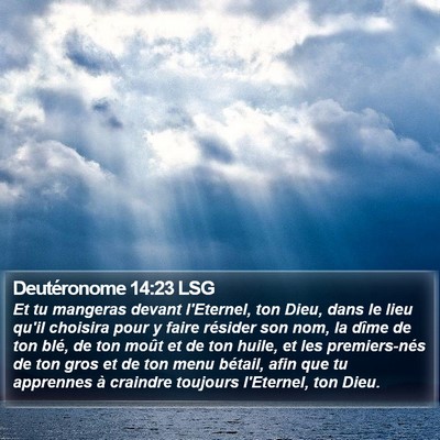 Deutéronome 14:23 LSG Bible Verse Image