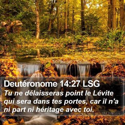 Deutéronome 14:27 LSG Bible Verse Image