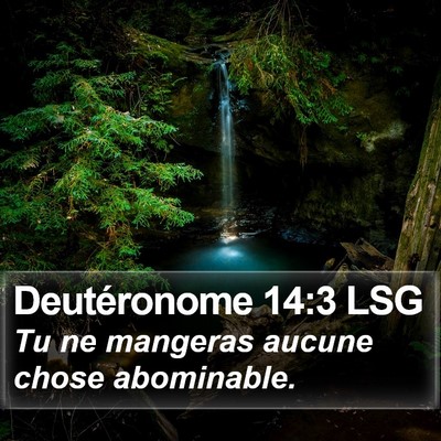 Deutéronome 14:3 LSG Bible Verse Image