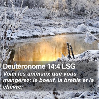 Deutéronome 14:4 LSG Bible Verse Image