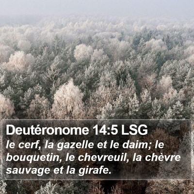 Deutéronome 14:5 LSG Bible Verse Image