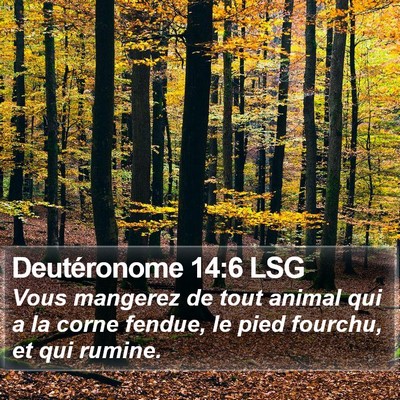 Deutéronome 14:6 LSG Bible Verse Image