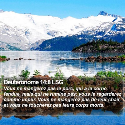Deutéronome 14:8 LSG Bible Verse Image