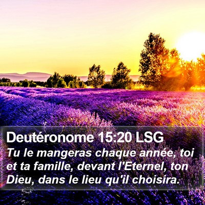 Deutéronome 15:20 LSG Bible Verse Image