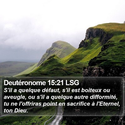 Deutéronome 15:21 LSG Bible Verse Image