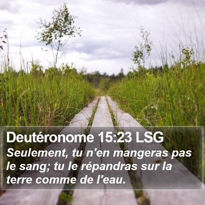 Deutéronome 15:23 LSG Bible Verse Image