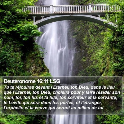 Deutéronome 16:11 LSG Bible Verse Image