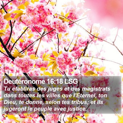 Deutéronome 16:18 LSG Bible Verse Image