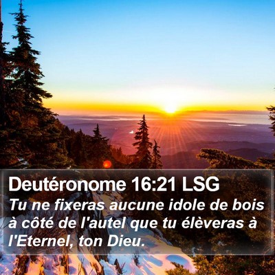 Deutéronome 16:21 LSG Bible Verse Image