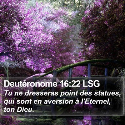 Deutéronome 16:22 LSG Bible Verse Image
