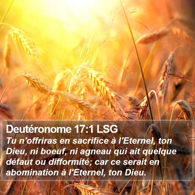 Deutéronome 17:1 LSG Bible Verse Image