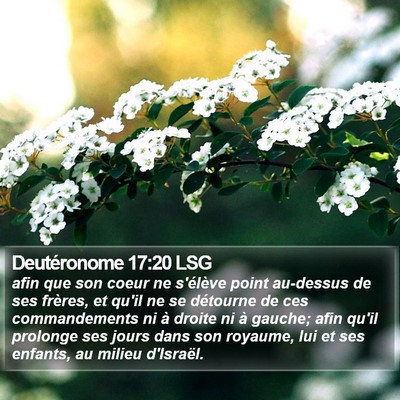 Deutéronome 17:20 LSG Bible Verse Image
