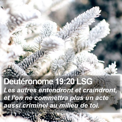 Deutéronome 19:20 LSG Bible Verse Image