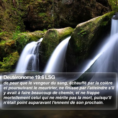 Deutéronome 19:6 LSG Bible Verse Image