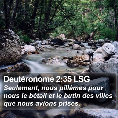 Deutéronome 2:35 LSG Bible Verse Image