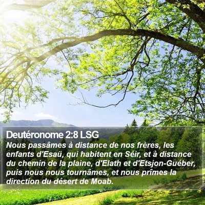Deutéronome 2:8 LSG Bible Verse Image