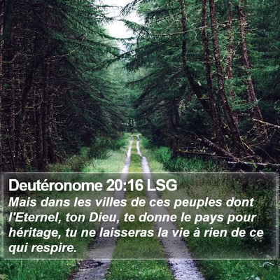Deutéronome 20:16 LSG Bible Verse Image