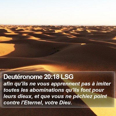 Deutéronome 20:18 LSG Bible Verse Image