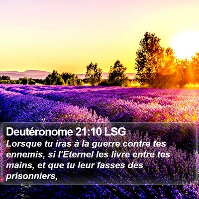 Deutéronome 21:10 LSG Bible Verse Image