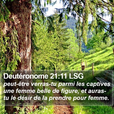 Deutéronome 21:11 LSG Bible Verse Image