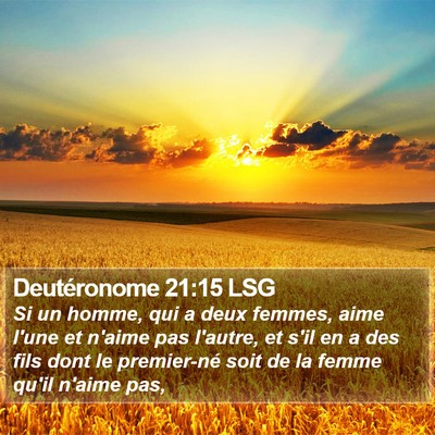 Deutéronome 21:15 LSG Bible Verse Image