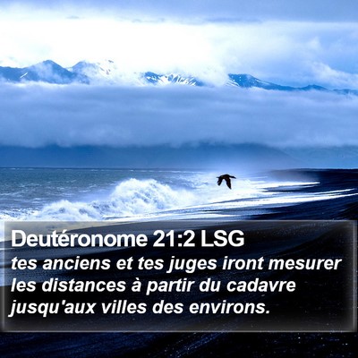 Deutéronome 21:2 LSG Bible Verse Image