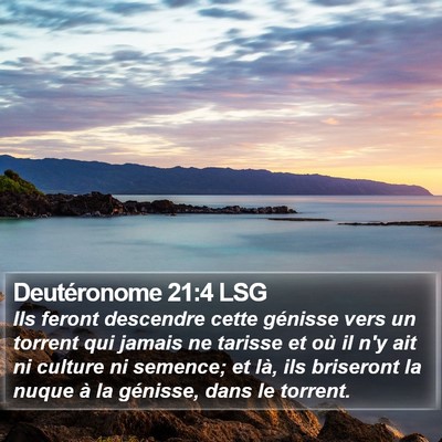 Deutéronome 21:4 LSG Bible Verse Image