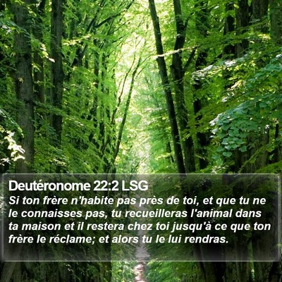 Deutéronome 22:2 LSG Bible Verse Image