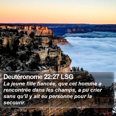 Deutéronome 22:27 LSG Bible Verse Image