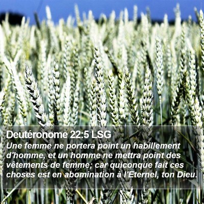 Deutéronome 22:5 LSG Bible Verse Image