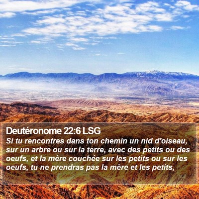 Deutéronome 22:6 LSG Bible Verse Image
