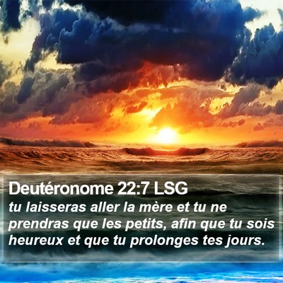 Deutéronome 22:7 LSG Bible Verse Image