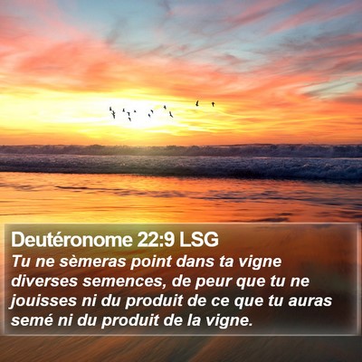 Deutéronome 22:9 LSG Bible Verse Image