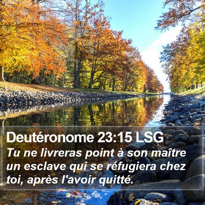 Deutéronome 23:15 LSG Bible Verse Image